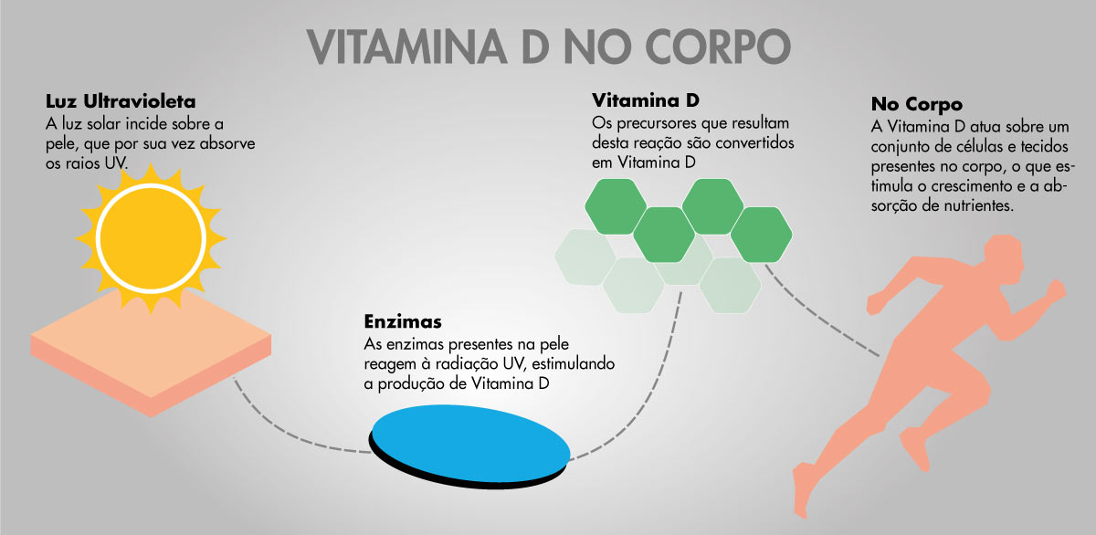 Vitamina D no corpo